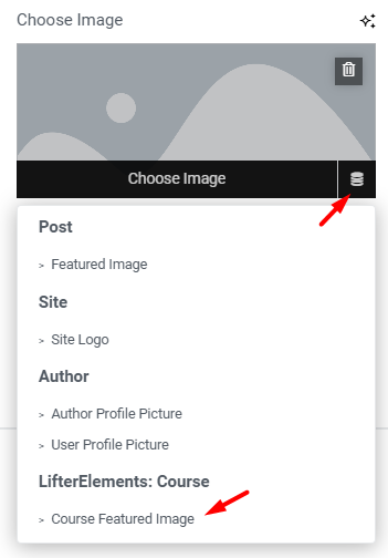 Lifter Elements - Dynamic Tags - Course Featured Image