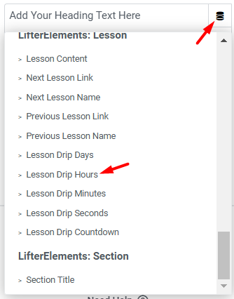 Lifter Elements - Dynamic Tags - Lesson Drip Hours